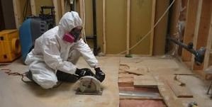 Mold Infested Floor Removal