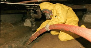 Water Damage North Hastings County Restoration Technician In Crawlspace